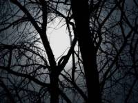 Вернуть удаленные сообщения